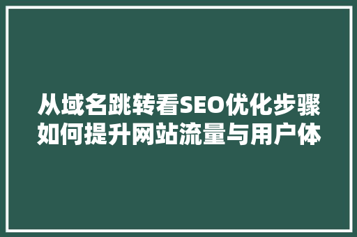 从域名跳转看SEO优化步骤如何提升网站流量与用户体验