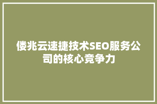 偻兆云速捷技术SEO服务公司的核心竞争力