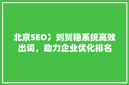 北京SEO冫刘贺稳系统高效出词，助力企业优化排名