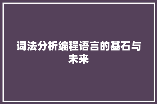 词法分析编程语言的基石与未来