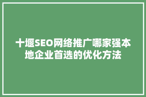 十堰SEO网络推广哪家强本地企业首选的优化方法
