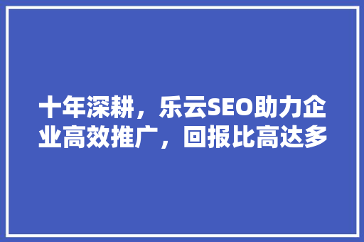 十年深耕，乐云SEO助力企业高效推广，回报比高达多少