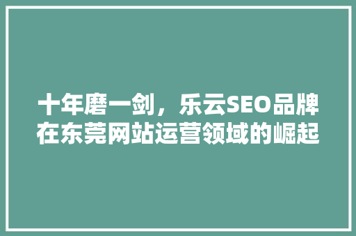 十年磨一剑，乐云SEO品牌在东莞网站运营领域的崛起之路