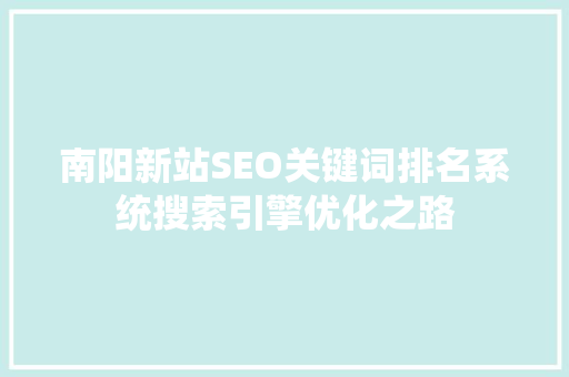南阳新站SEO关键词排名系统搜索引擎优化之路
