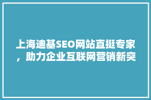 上海迪基SEO网站直挺专家，助力企业互联网营销新突破