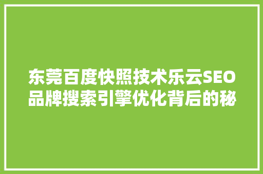 东莞百度快照技术乐云SEO品牌搜索引擎优化背后的秘密