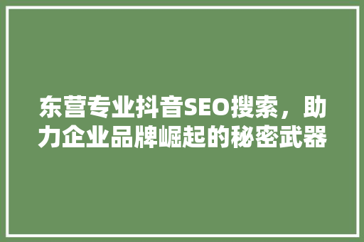 东营专业抖音SEO搜索，助力企业品牌崛起的秘密武器