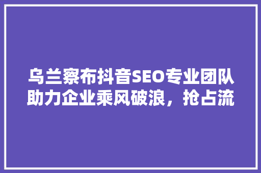 乌兰察布抖音SEO专业团队助力企业乘风破浪，抢占流量高地