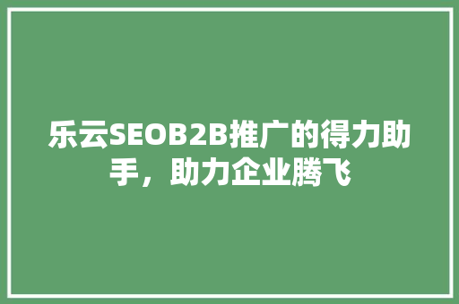 乐云SEOB2B推广的得力助手，助力企业腾飞