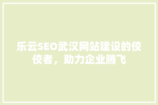 乐云SEO武汉网站建设的佼佼者，助力企业腾飞