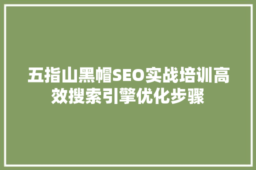 五指山黑帽SEO实战培训高效搜索引擎优化步骤