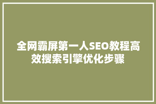 全网霸屏第一人SEO教程高效搜索引擎优化步骤