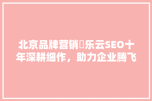 北京品牌营销乚乐云SEO十年深耕细作，助力企业腾飞