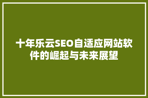 十年乐云SEO自适应网站软件的崛起与未来展望