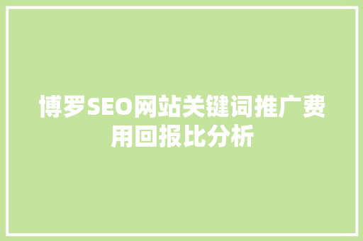 博罗SEO网站关键词推广费用回报比分析