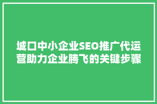 城口中小企业SEO推广代运营助力企业腾飞的关键步骤