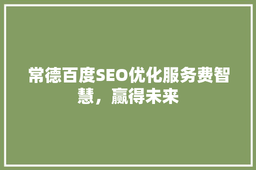 常德百度SEO优化服务费智慧，赢得未来