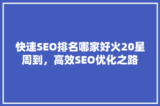 快速SEO排名哪家好火20星周到，高效SEO优化之路