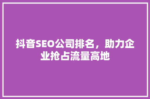 抖音SEO公司排名，助力企业抢占流量高地
