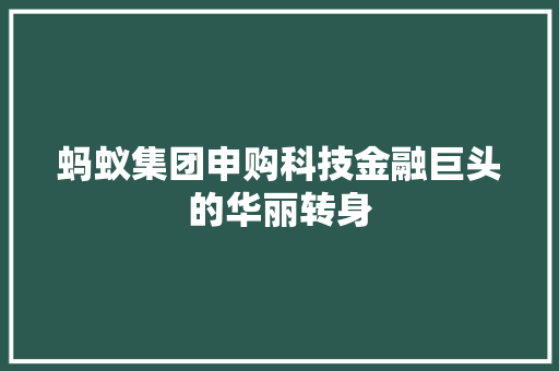 蚂蚁集团申购科技金融巨头的华丽转身