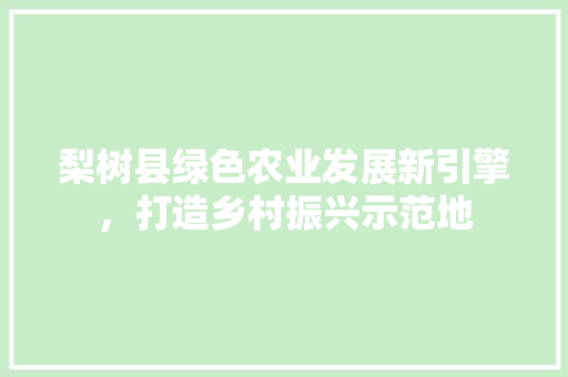 梨树县绿色农业发展新引擎，打造乡村振兴示范地