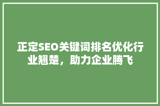 正定SEO关键词排名优化行业翘楚，助力企业腾飞