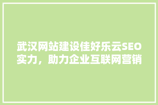 武汉网站建设佳好乐云SEO实力，助力企业互联网营销新高度