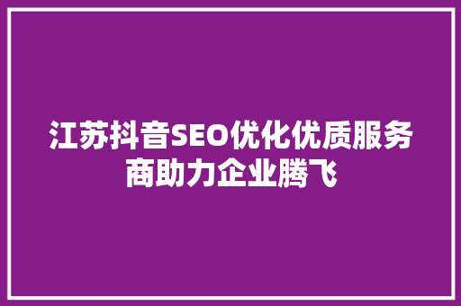 江苏抖音SEO优化优质服务商助力企业腾飞