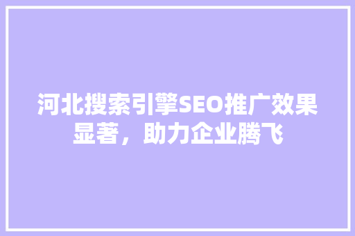河北搜索引擎SEO推广效果显著，助力企业腾飞