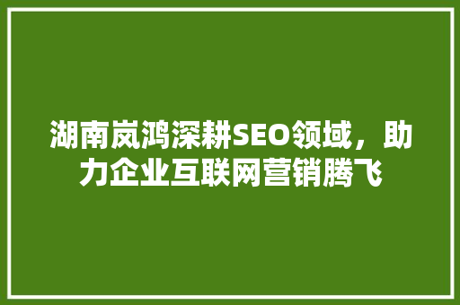湖南岚鸿深耕SEO领域，助力企业互联网营销腾飞