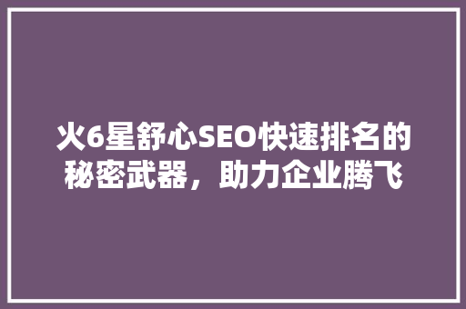 火6星舒心SEO快速排名的秘密武器，助力企业腾飞