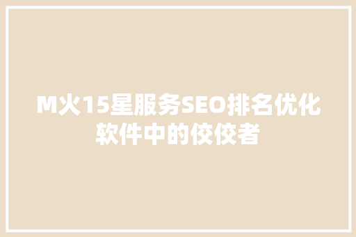 M火15星服务SEO排名优化软件中的佼佼者