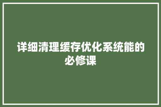 详细清理缓存优化系统能的必修课