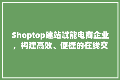 Shoptop建站赋能电商企业，构建高效、便捷的在线交易平台
