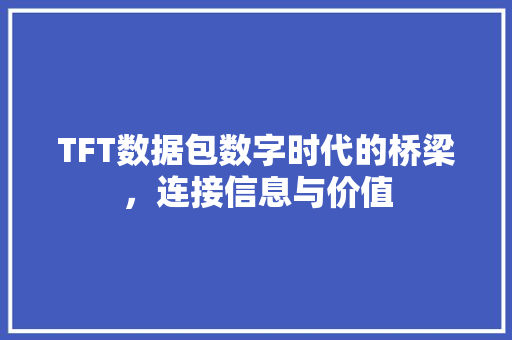 TFT数据包数字时代的桥梁，连接信息与价值