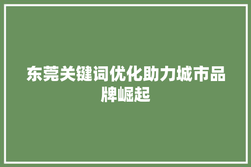 东莞关键词优化助力城市品牌崛起