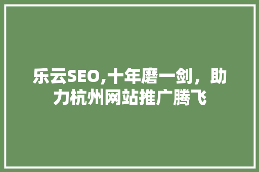 乐云SEO,十年磨一剑，助力杭州网站推广腾飞