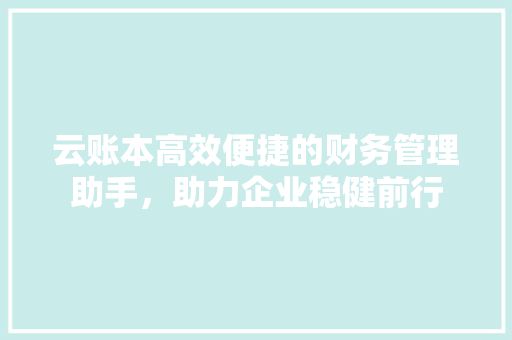 云账本高效便捷的财务管理助手，助力企业稳健前行