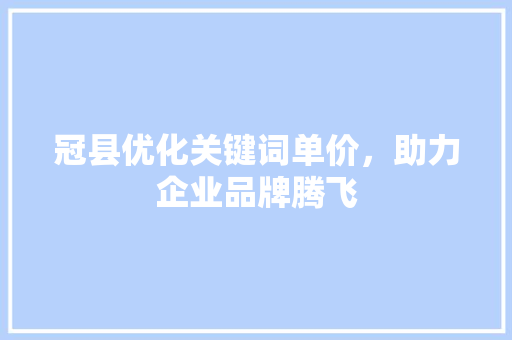 冠县优化关键词单价，助力企业品牌腾飞