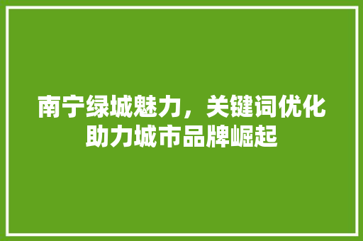 南宁绿城魅力，关键词优化助力城市品牌崛起