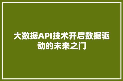 大数据API技术开启数据驱动的未来之门