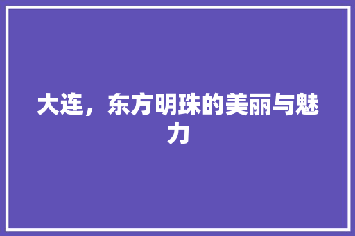大连，东方明珠的美丽与魅力