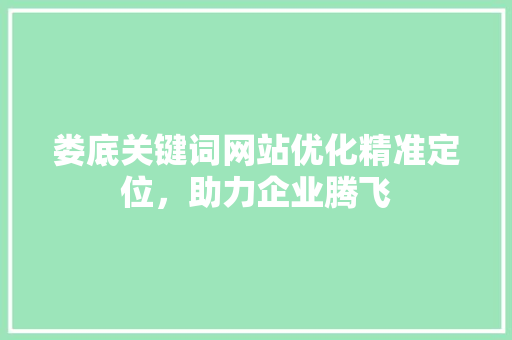 娄底关键词网站优化精准定位，助力企业腾飞