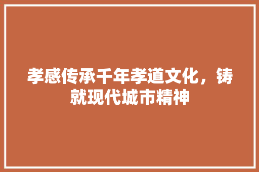 孝感传承千年孝道文化，铸就现代城市精神