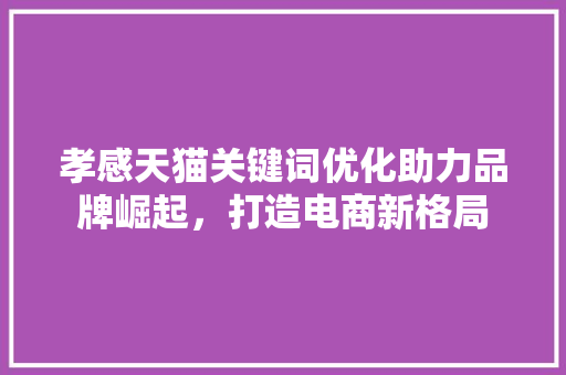 孝感天猫关键词优化助力品牌崛起，打造电商新格局