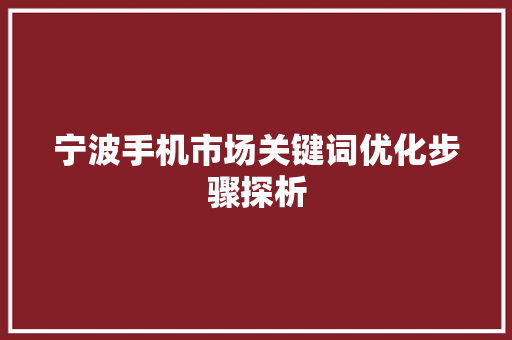 宁波手机市场关键词优化步骤探析