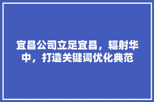 宜昌公司立足宜昌，辐射华中，打造关键词优化典范