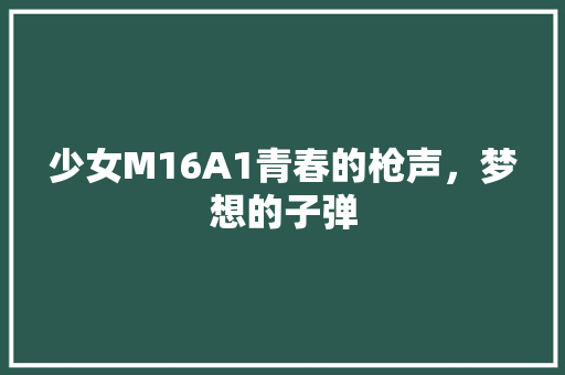少女M16A1青春的枪声，梦想的子弹