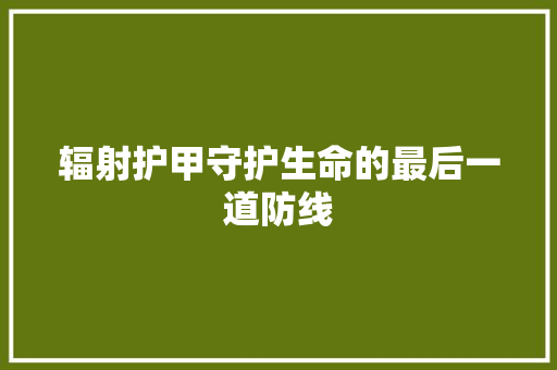辐射护甲守护生命的最后一道防线