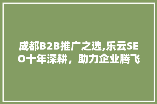 成都B2B推广之选,乐云SEO十年深耕，助力企业腾飞
